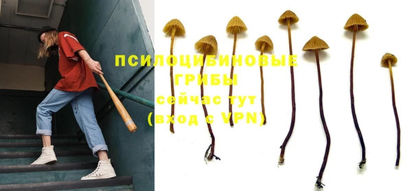 герыч Корсаков