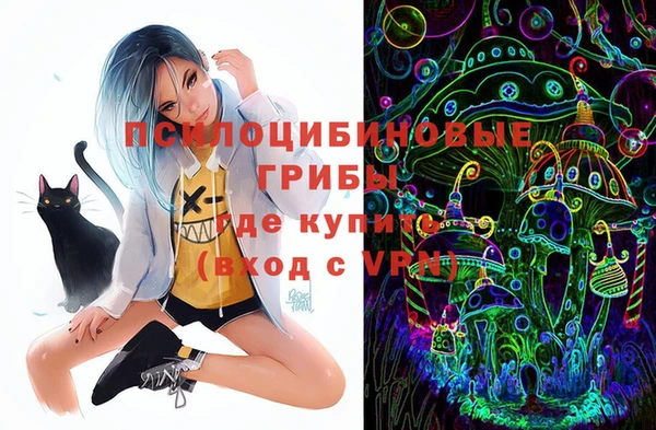 стафф Костерёво