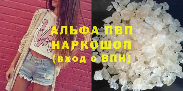 винт Коряжма