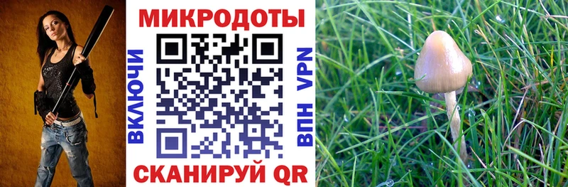 Псилоцибиновые грибы Psilocybe  Купить закладки  Зима 