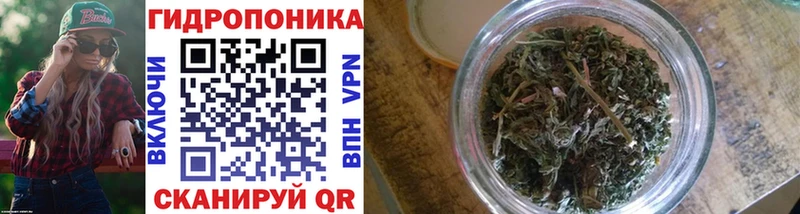 Купить где  Зима  МАРИХУАНА SATIVA & INDICA 
